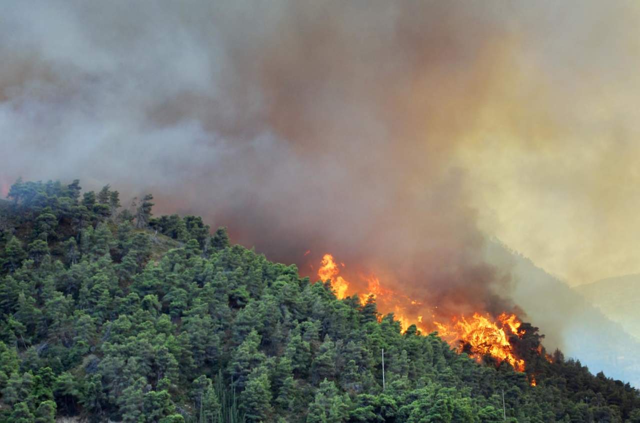 Incendi boschivi: riorganizzato il servizio dei vigili del fuoco