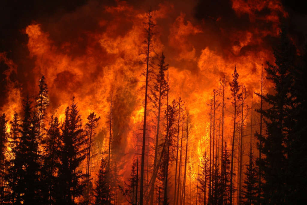 lotta agli incendi boschivi