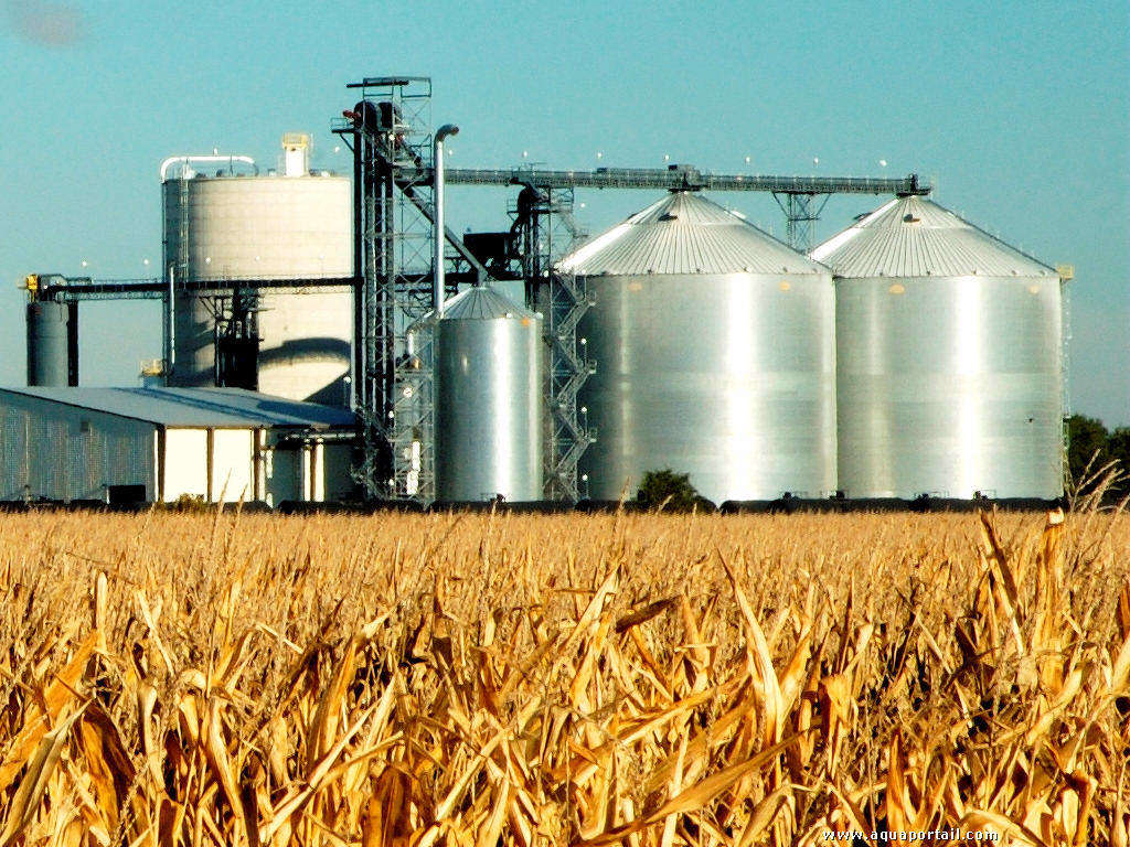 Sostenibilità dei biocarburanti e dei bioliquidi
