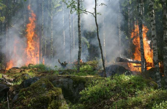 Prevenzione incendi nei boschi